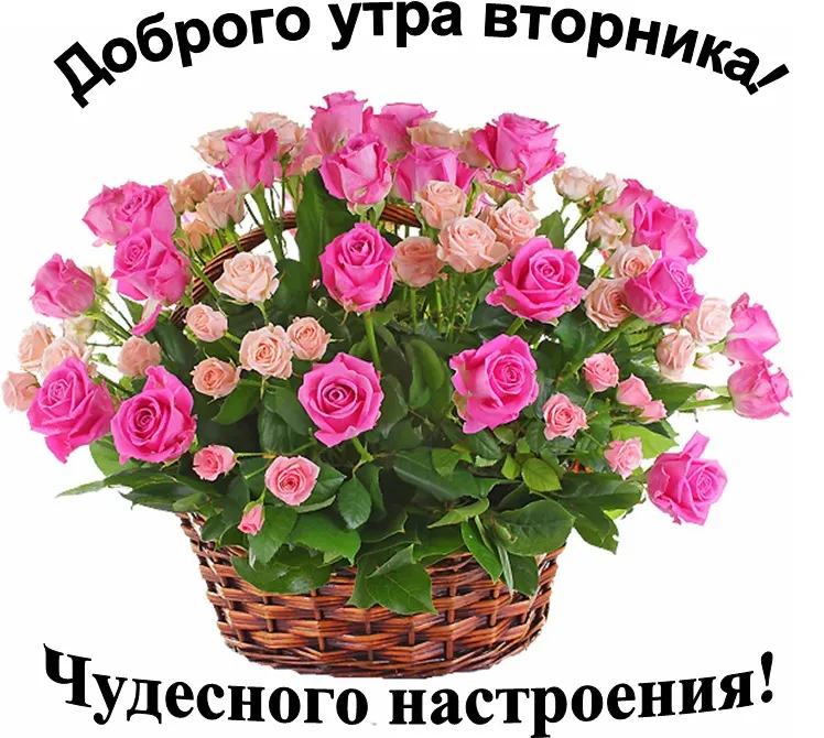 Открытка Открытки на вторник - Букет роз в корзине: нежные цветы для вас | Красивая открытка #33