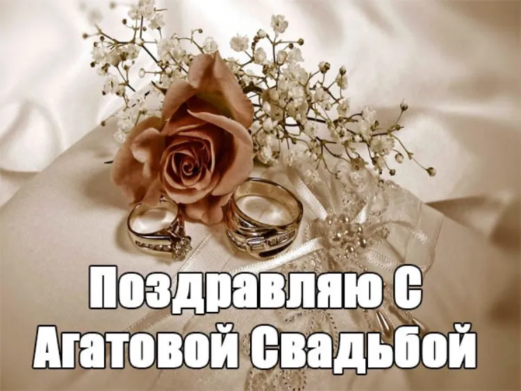 Открытка 14 лет - агатовая свадьба - Свадебные кольца на цветах: Поздравления с днем свадьбы | Красивая открытка #9