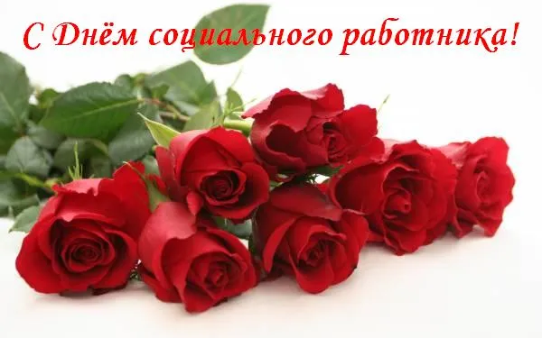 Открытка С днём социального работника - Букет красных роз на открытке | Красивая открытка #47