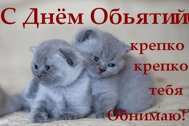Открытка День объятий - Два милых котенка на открытке | Красивая открытка #75
