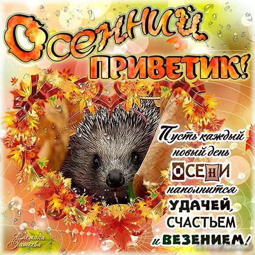Открытка Осенний приветик - Открытка с ёжиком на осенней тематике  Поздравление | Красивая открытка #87