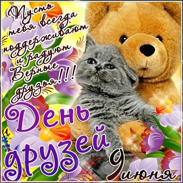 Открытка День друзей - Открытка с котенком: День рождения друга! | Красивая открытка #142