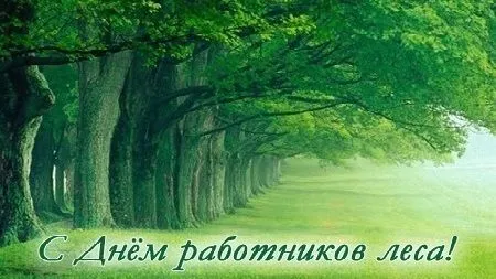 Открытка День работников леса - Деревья в тумане: открытка с Днём работников леса | Красивая открытка #39