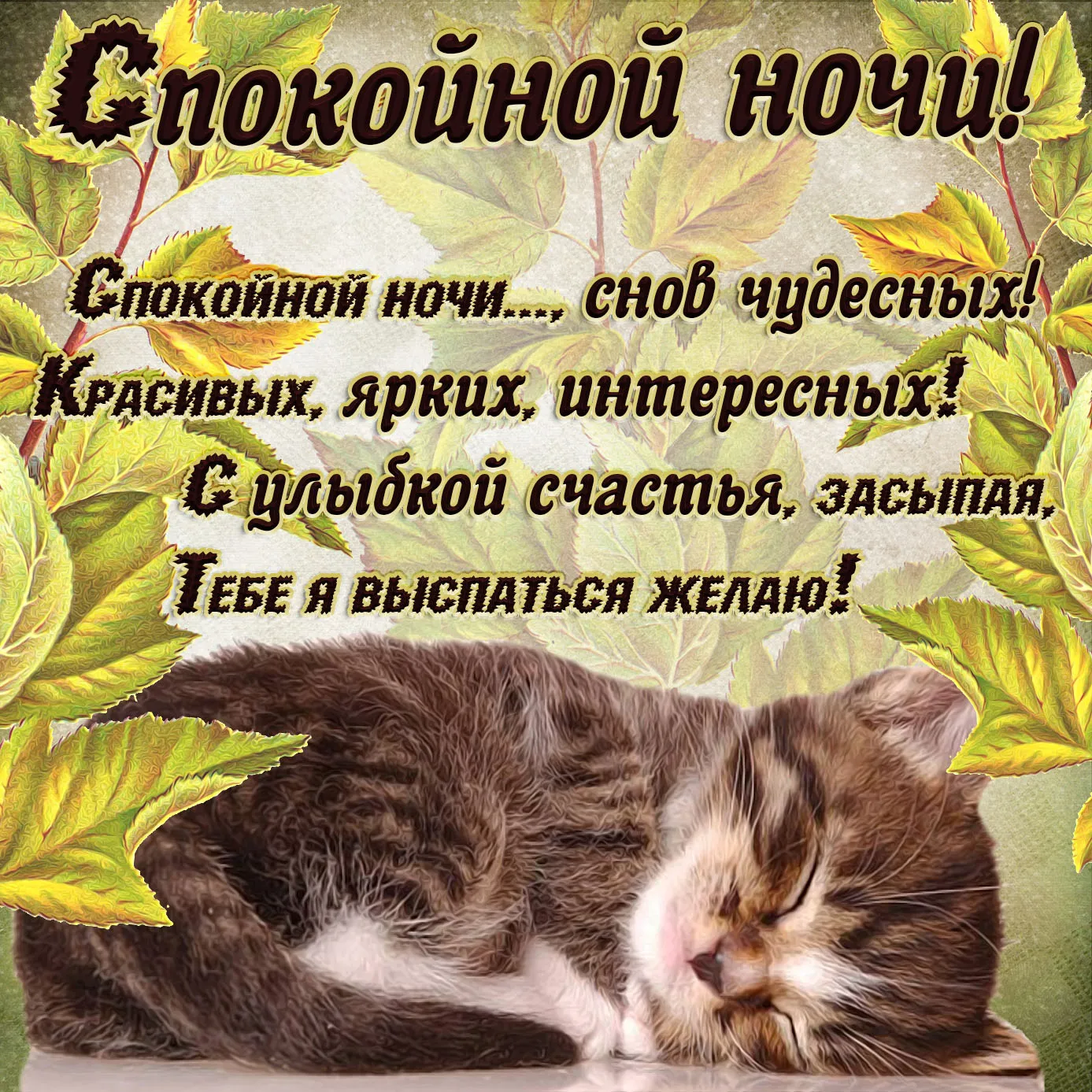 Открытка Спокойной ночи - С добрым утром и спокойной ночи! | Красивая открытка #102