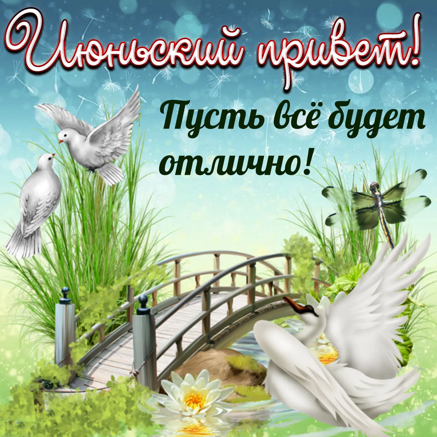 Открытка Июньский - Открытка: Голуби на мосту, пруд, лотос, стрекоза | Красивая открытка #1