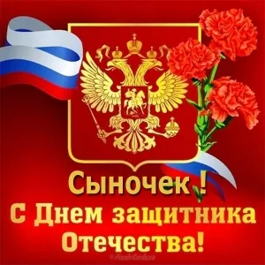 Открытка 23 февраля - С Днём защитника Отечества: открытка с гербом и гвоздиками | Красивая открытка #72
