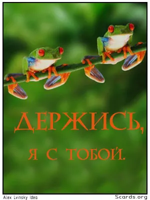 Открытка Открытки я рядом - Открытка с лягушками: яркий тропический десер | Красивая открытка #107