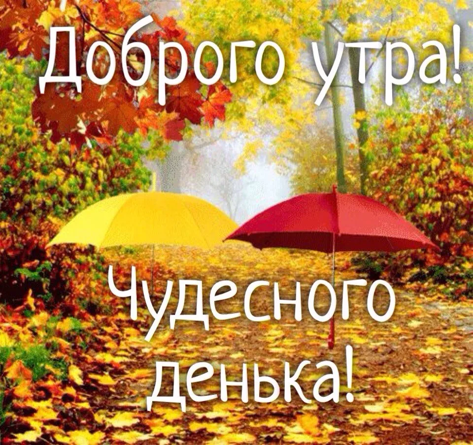 Открытка Доброе утро - Осенние зонты: яркая открытка с желтыми и красными зонтами | Красивая открытка #81