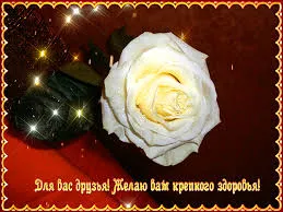 Открытка Крепкого здоровья - Открытка с розой: нежная красота и поздравления | Красивая открытка #73