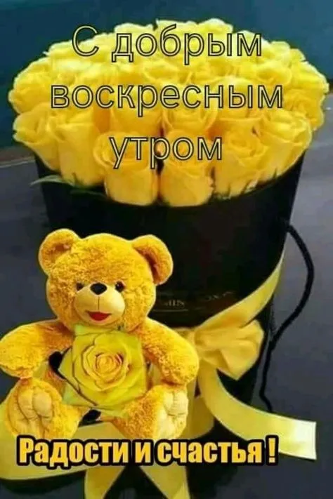 Открытка Открытки на воскресенье - Открытка: Милый мишка и желтые цветы | Красивая открытка #124