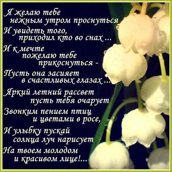 Открытка Стихи о любви - Красивые белые цветы на зеленом фоне | Красивая открытка #17