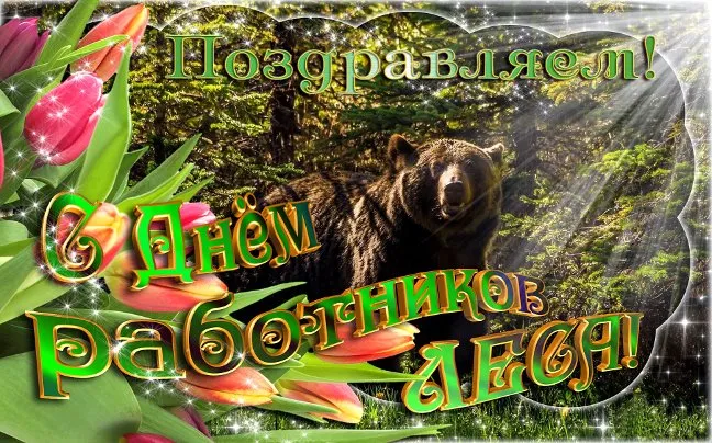 Открытка С днём работника леса - Открытка с медведем в лесу и цветами | Красивая открытка #46