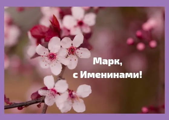 Открытка Открытки с именем Максим  - Цветущая вишня: Открытка с Днем Рождения | Красивая открытка #256