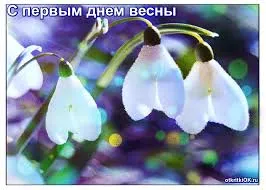 Открытка Первый день весны - Открытка с подснежниками: Весеннее настроение | Красивая открытка #120