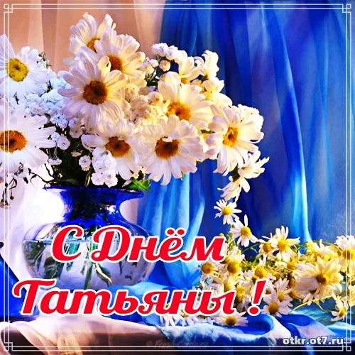 Открытка открытки на Татьянин день  - Открытка с цветами: ромашки и хризантемы | Красивая открытка #106