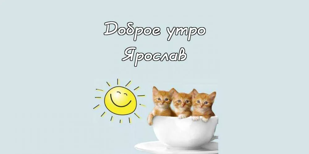 Открытка Открытки с именем Ярослав  - Открытка с котятами в чашке: С добрым утром! | Красивая открытка #66