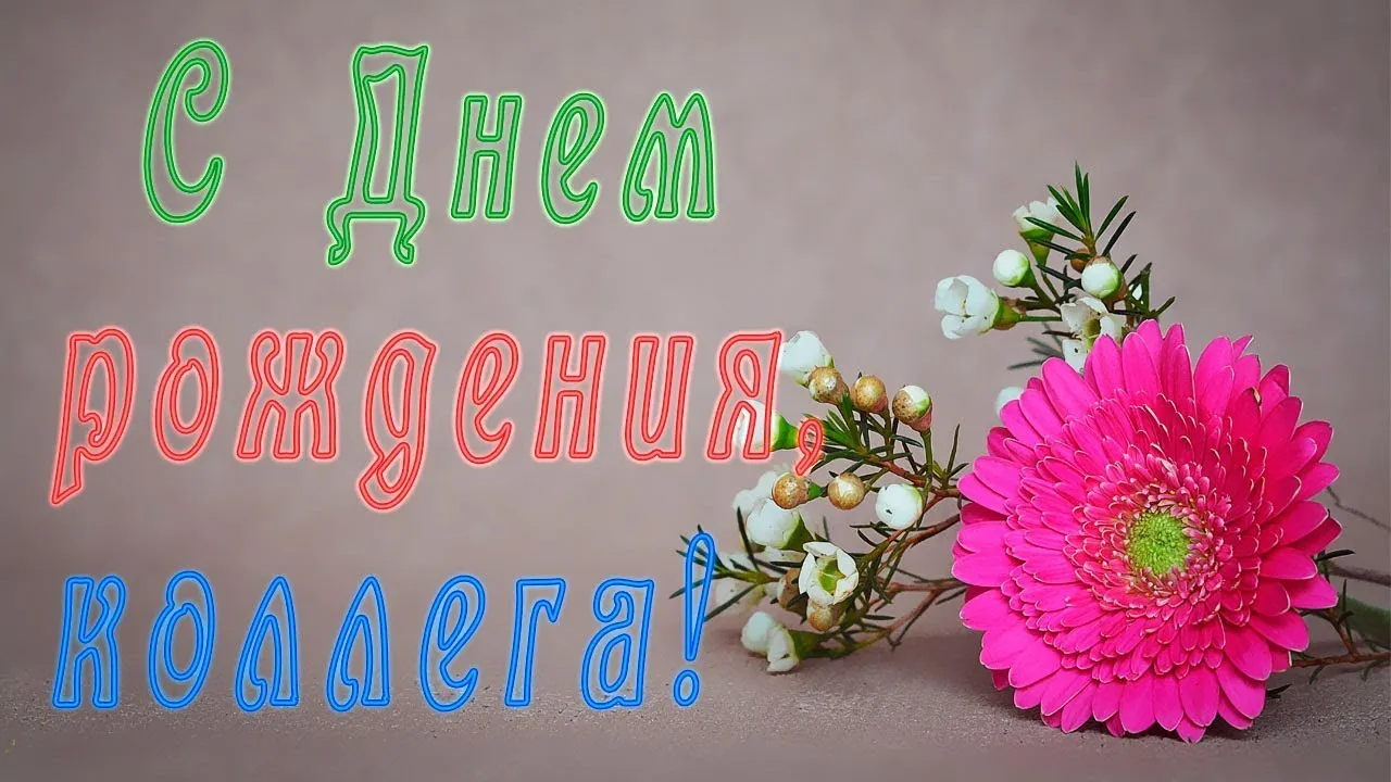 Открытка С Днём рождения коллеге - Розовая герань и белые цветы на фоне зелени. | Красивая открытка #20