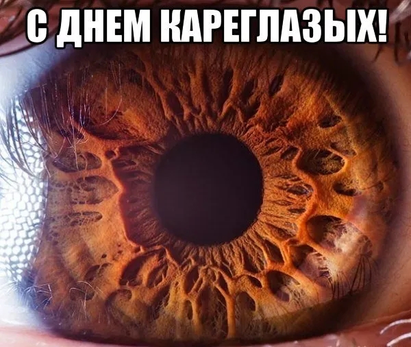 Открытка Открытки на день карих глаз - Ближний план карих глаз | Красивая открытка #16