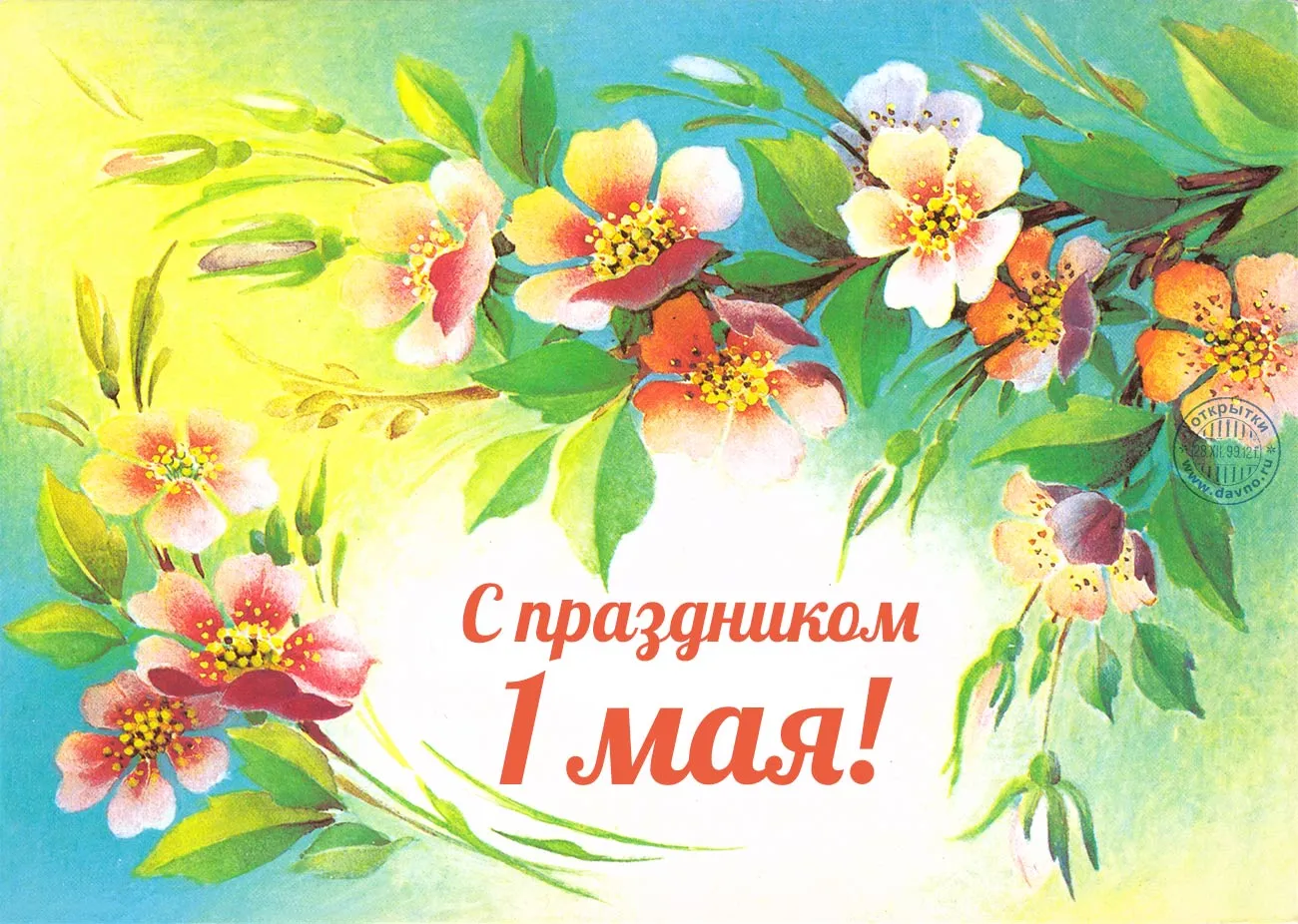 Открытка 1 мая - Открытка с цветами: красные и розовые соцветия | Красивая открытка #237