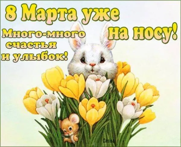 Открытка Открытки с наступающим 8 марта - Милый мышонок и нежные нарциссы на открытке  8 Марта | Красивая открытка #32