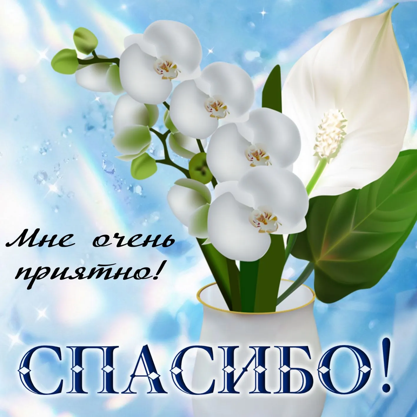 Открытка Спасибо - Открытка с белыми орхидеями на голубом фоне | Красивая открытка #188