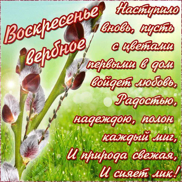 Открытка Вербное Воскресенье - Верба на открытке: нежность и весеннее настроение | Красивая открытка #17