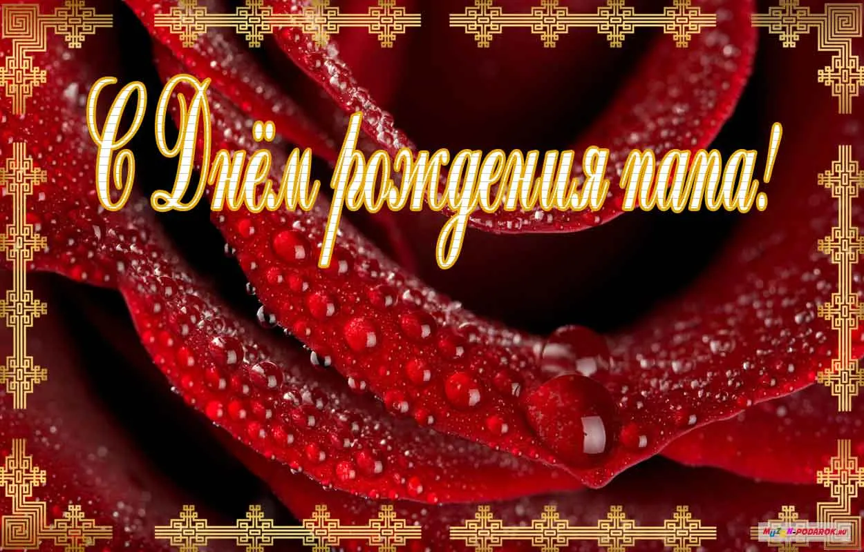 Открытка Открытки с Днем Рождения папе - Открытка с днем рождения: Красные розы и золотые узоры | Красивая открытка #32