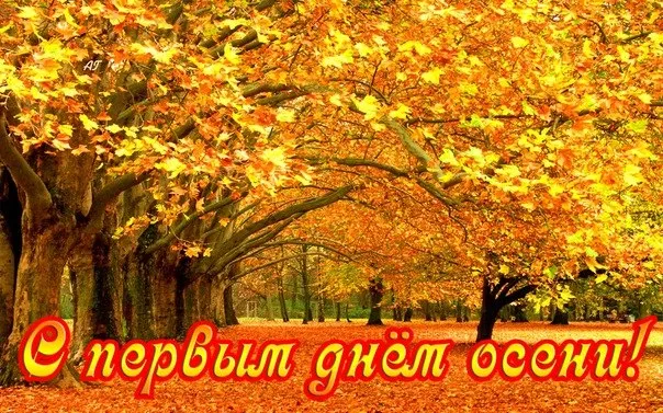 Открытка Первый день осени - Золотая осень: яркие краски природы | Красивая открытка #177
