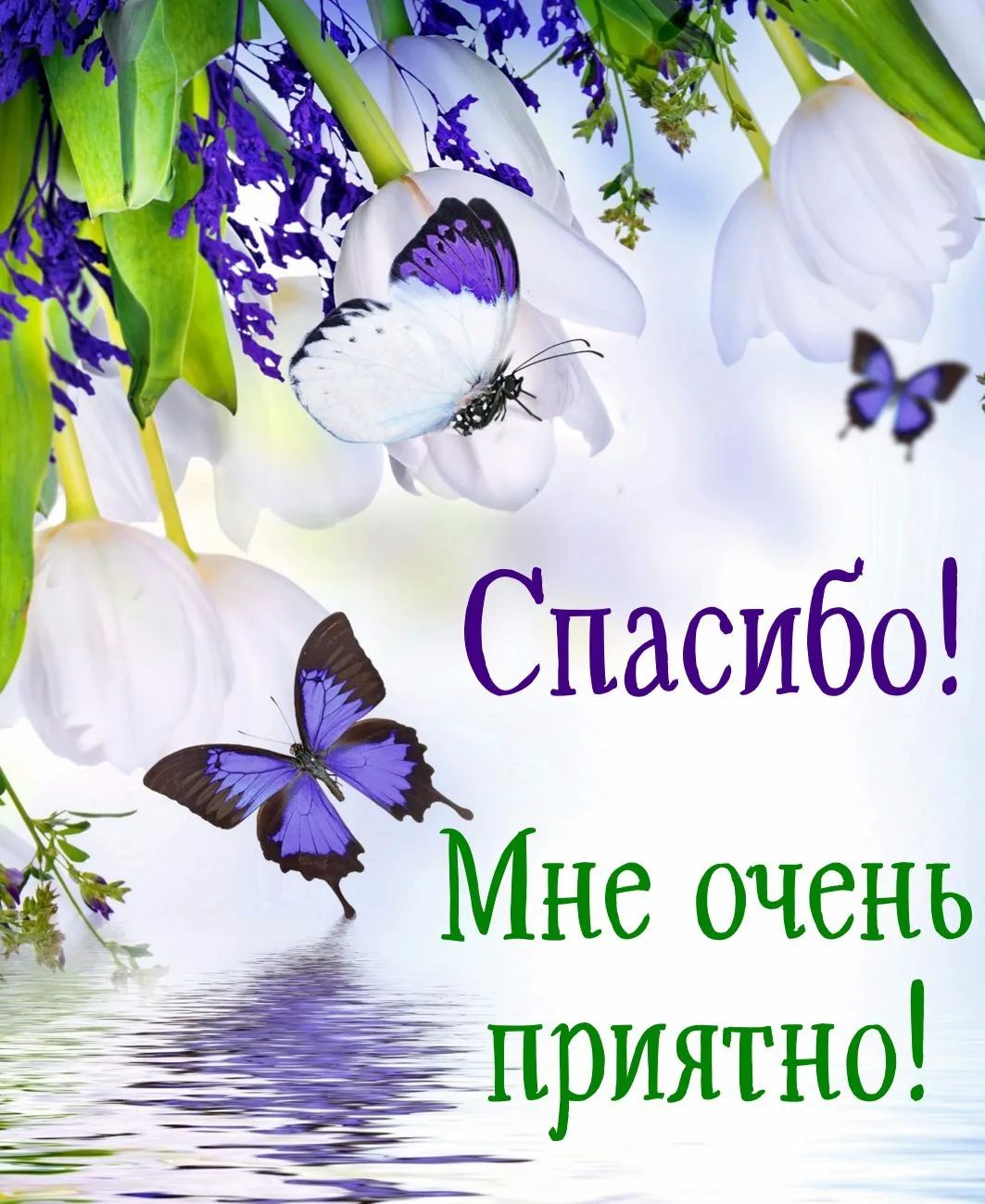 Открытка Спасибо - Открытка: Лилии и бабочки — нежная красота | Красивая открытка #153