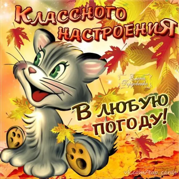 Открытка Картинки про погоду - Открытка с котенком и осенними листьями | Красивая открытка #18
