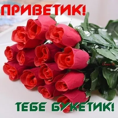 Открытка Привет - Букет красных роз на голубом фоне | Красивая открытка #297
