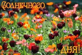 Открытка Открытки хорошего дня - Поле маков: Красные и оранжевые цветы | Красивая открытка #138