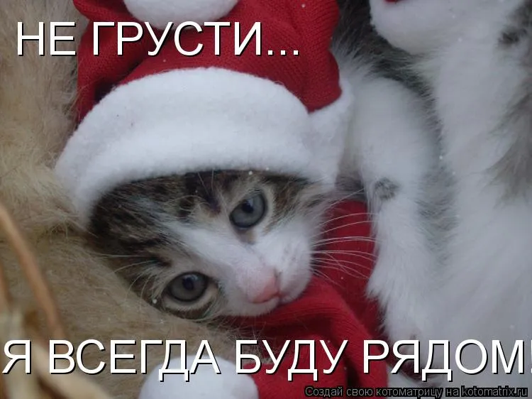 Открытка Я рядом - Котенок в шапке: Новогоднее поздравление с милым котиком | Красивая открытка #10