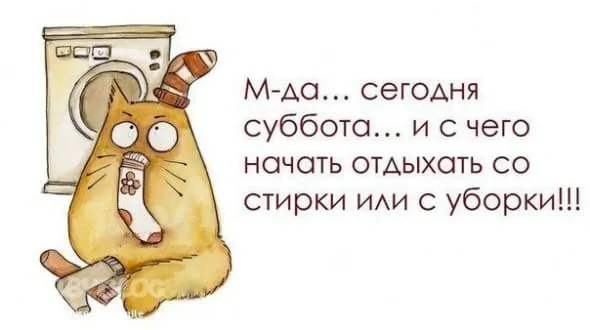 Открытка Открытки на субботу - Кот с носками на стиральной машине. Открытка | Красивая открытка #201