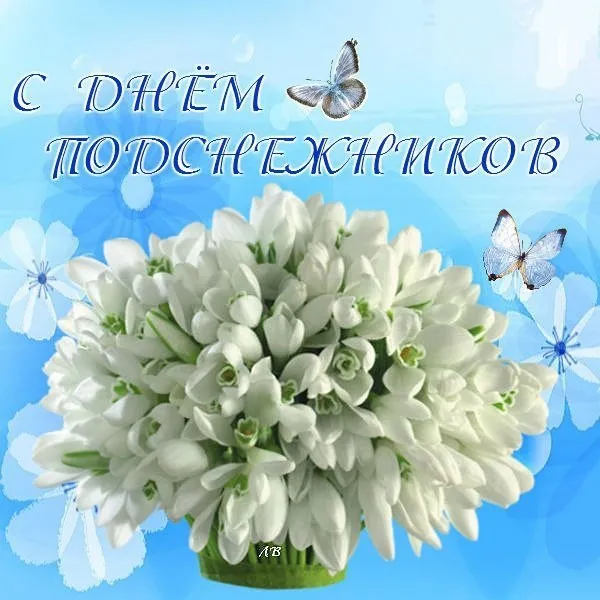 Открытка С днём подснежника - Открытка с белыми цветами и бабочками | Красивая открытка #41