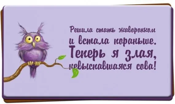 Открытка Высказывания, мысли - Фиолетовая сова на ветке. | Красивая открытка #67