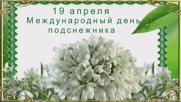 Открытка С днём подснежника - Подснежники: нежная весенняя открытка | Красивая открытка #50