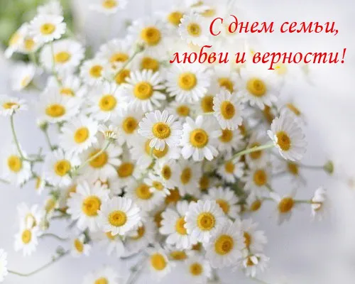 Открытка С ромашками - Букет ромашек: нежные цветы для поздравлений | Красивая открытка #76