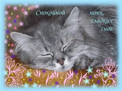 Открытка Спокойной ночи - Спящий котенок: открытка с добрым сном | Красивая открытка #160