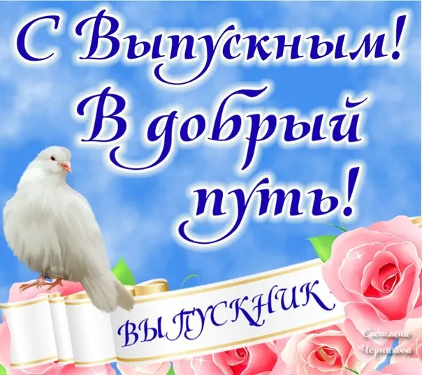 Открытка С выпускным - Открытка с голубем и розами | Красивая открытка #27