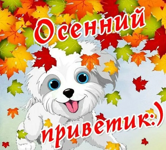Открытка осенний привет - Открытка с щенком на фоне осенних листьев | Красивая открытка #36