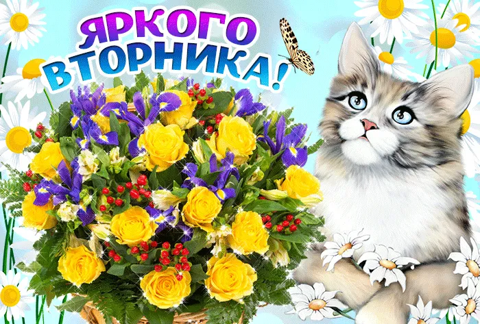 Открытка Удачного вторника - Открытка с котенком и цветами: желтые розы, маргаритки | Красивая открытка #2