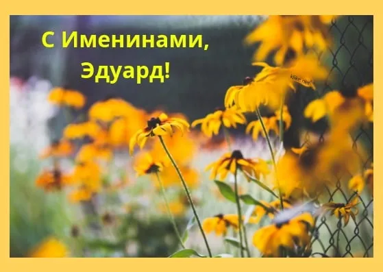 Открытка Открытки с именем Эдуард - Яркие полевые цветы: открытка с цветами на день рождения. | Красивая открытка #125