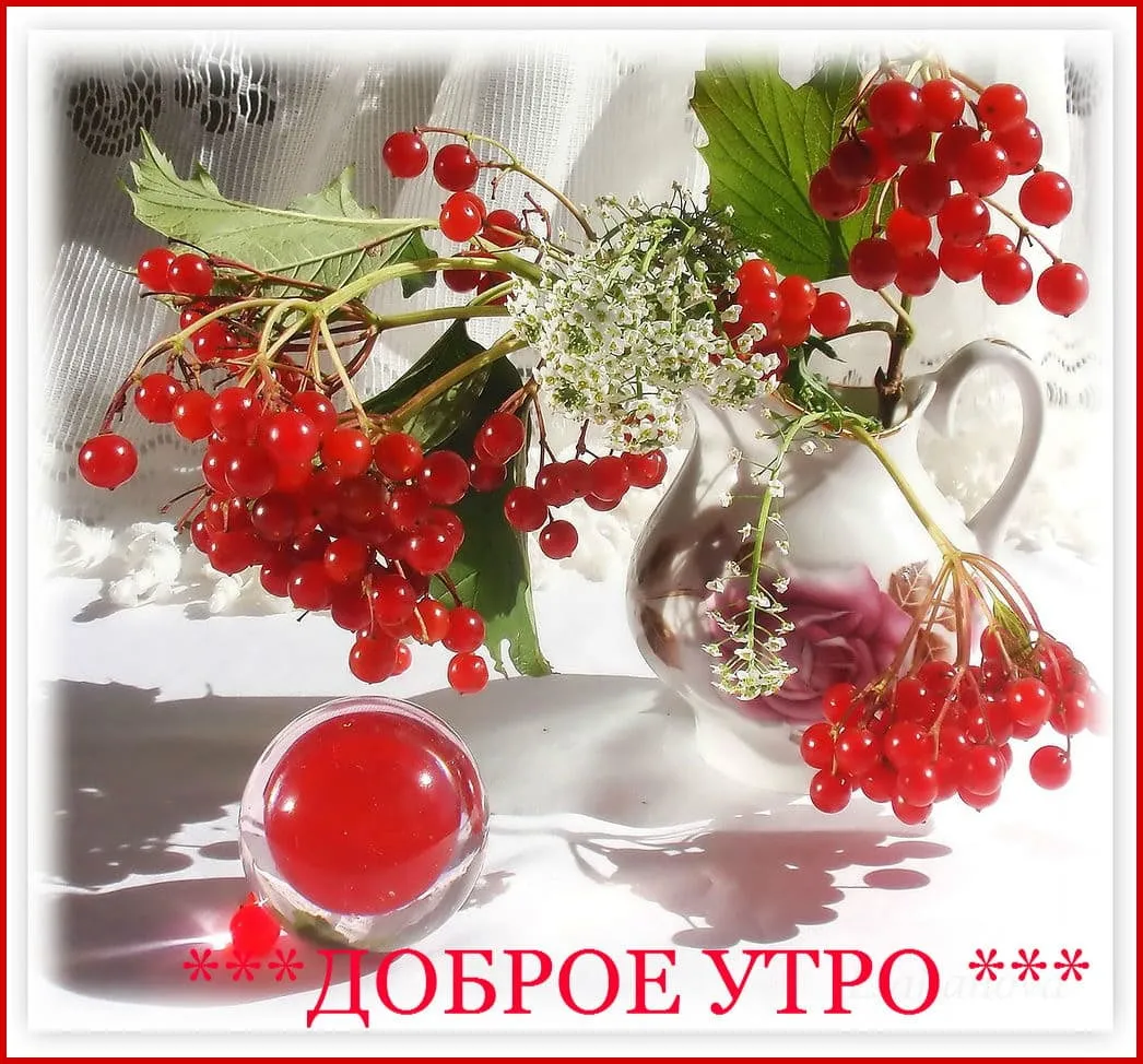 Открытка Открытки с добрым осенним утром - Доброе утро: ягоды, цветы и молоко | Красивая открытка #3