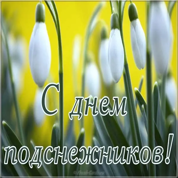 Открытка День подснежника - Открытка «С Днем Подснежников» — Весеннее поздравление | Красивая открытка #32