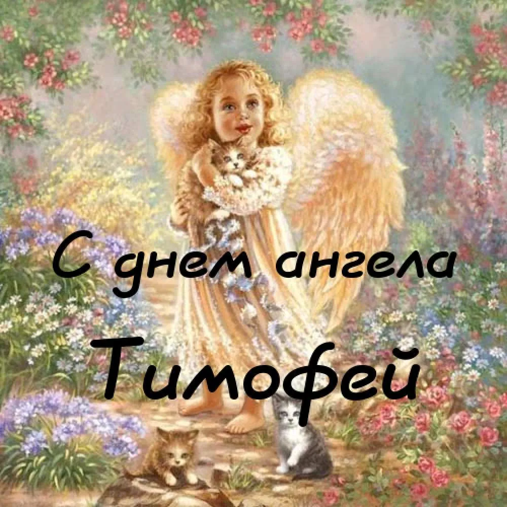 Открытка Открытки с именем Тимофей - Ангел с котенком: Красивая открытка с изображением | Красивая открытка #268
