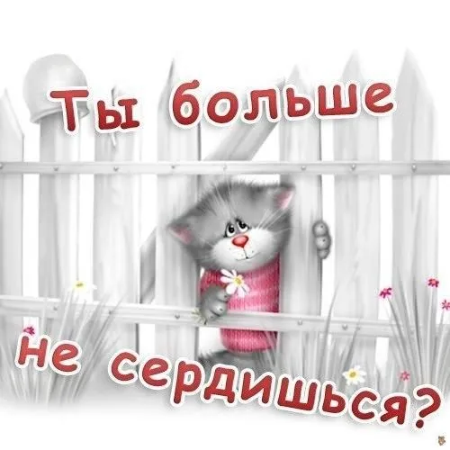 Открытка Прости меня - Милый котёнок на заборе с цветком: открытка | Красивая открытка #12