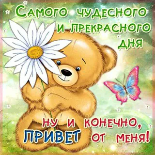 Открытка Привет - Открытка с мишкой и цветами | Красивая открытка #25
