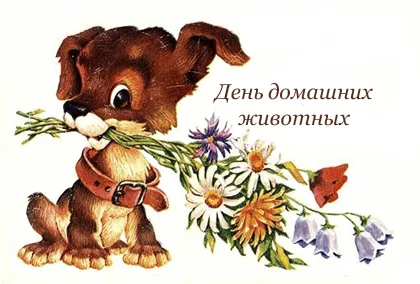 Открытка Открытки на Всемирный день домашних животных - Открытка с щенком и цветами: милая поздравительная открытка | Красивая открытка #16