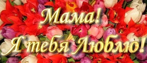 Открытка Люблю тебя мама - Открытка с тюльпанами: красные, розовые, фиолетовые цветы | Красивая открытка #7